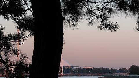 20210206172043_IMG_0282