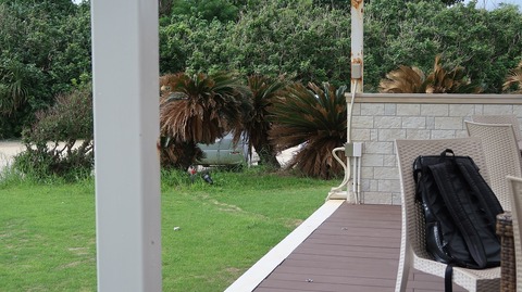 20221118132330_IMG_6881