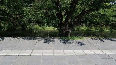 20200921115726_IMG_8130