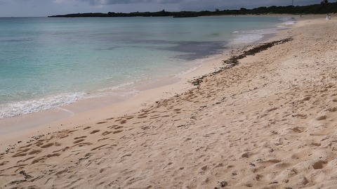 20221118132613_IMG_6884