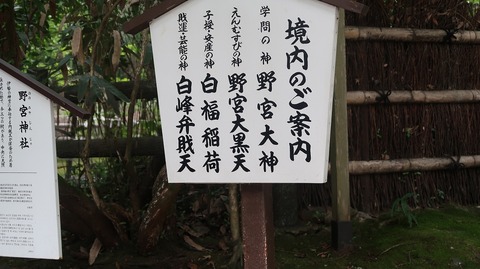 20200808100347_IMG_7049