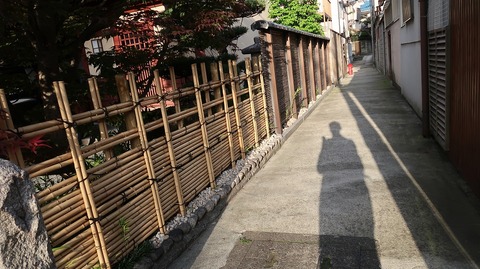 20220430175500_IMG_3664