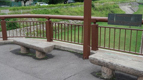 20190714153634_IMG_2943