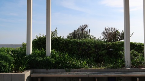 20210515163341_IMG_1540