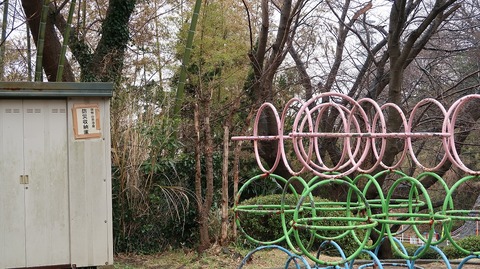 20190209101317_IMG_0865