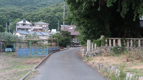 20220701190953_IMG_4801