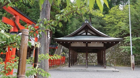 20220813095948_IMG_5810