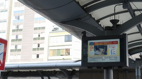 20210103101303_IMG_9821