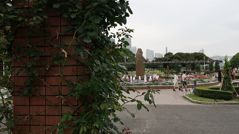 20190623181158_IMG_2628