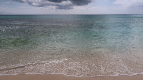 20221118132803_IMG_6889