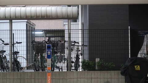 20200112151531_IMG_5221