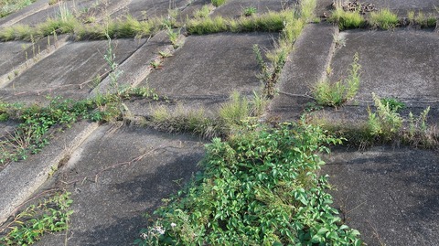 20200921152212_IMG_8162