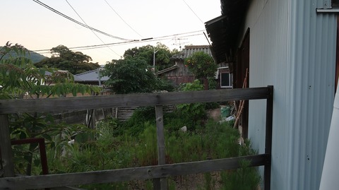 20220701194238_IMG_4809