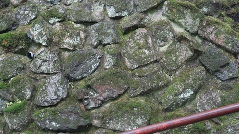 20220501134627_IMG_3765