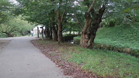 20200919170106_IMG_7889