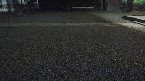 20220515195228_IMG_4350