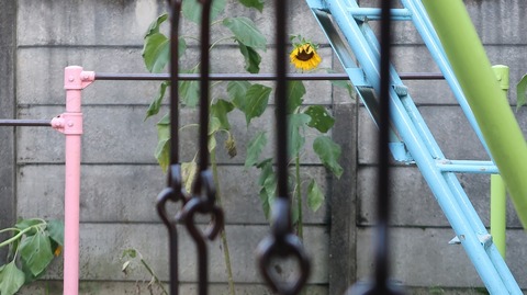 20221010162751_IMG_6580