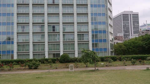 20220508175126_IMG_4198