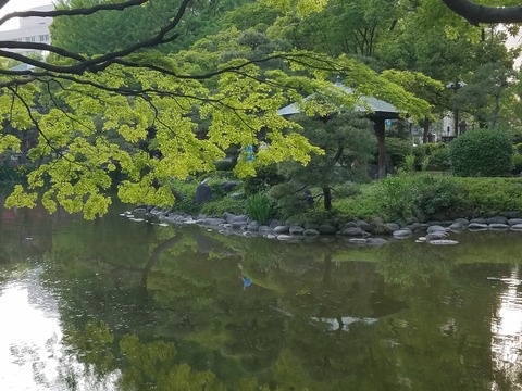 20180421_162433