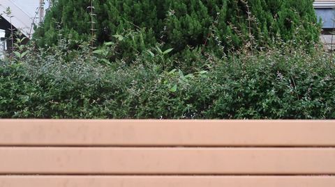 20230513174053_IMG_8317