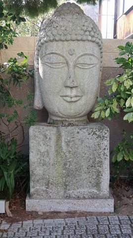 20190120140045_IMG_0748