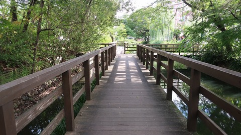 20200810162041_IMG_7280