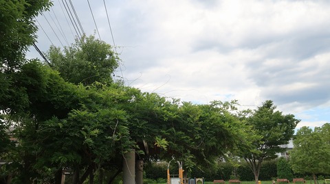 20220723152152_IMG_5173