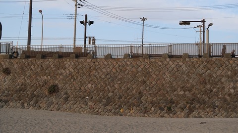 20190223163116_IMG_1099