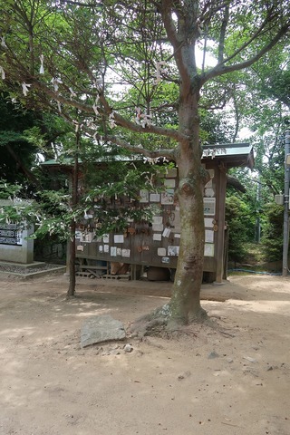 20220703113121_IMG_4968