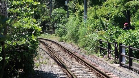 20190525123106_IMG_2399