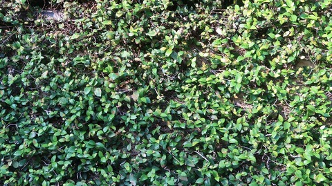 20220528173224_IMG_4420