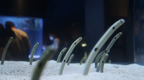 20220730184050_IMG_5307