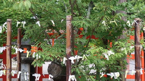 20220813100035_IMG_5812