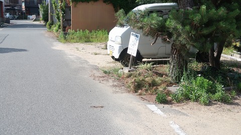 20220702164218_IMG_4929