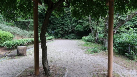 20220611180432_IMG_4622