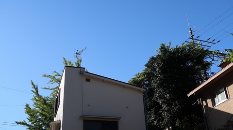 20201025141901_IMG_8714