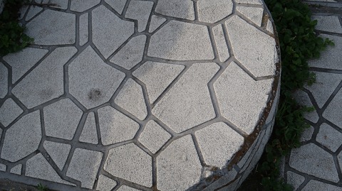 20230423162430_IMG_8095
