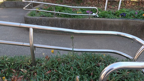 ScreenShot Tool -20260111014125_result_