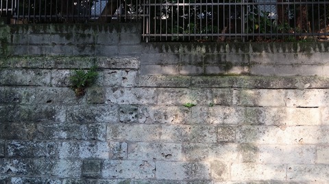 20220625174236_IMG_4660