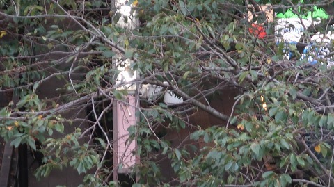 20220926171155_IMG_6537