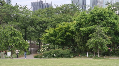 20220508180919_IMG_4227