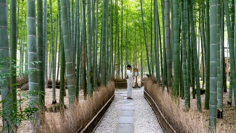 ScreenShot Tool -20250911221847_result_