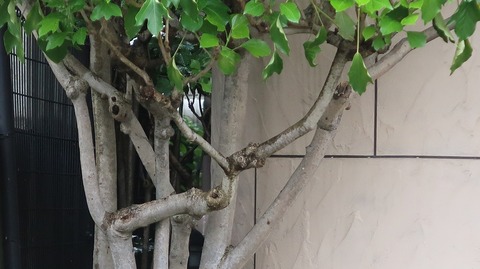 20220716153338_IMG_5002