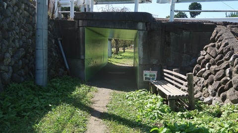 20231007111634_IMG_9597