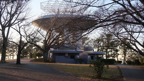 20210206164433_IMG_0259