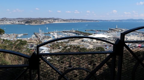 20190309121405_IMG_1149