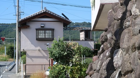 20231007114845_IMG_9622