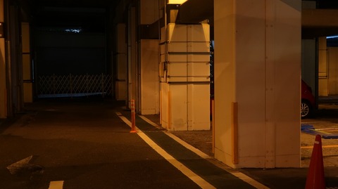 20200815195346_IMG_7457