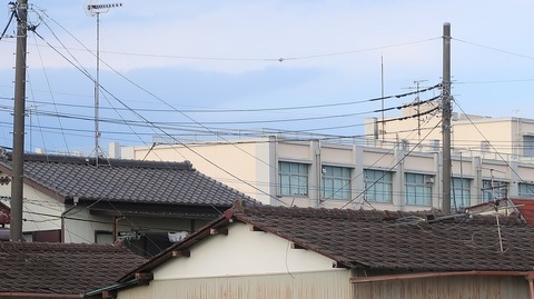 20200801171912_IMG_6931