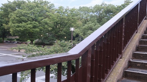 20200726184832_IMG_6824